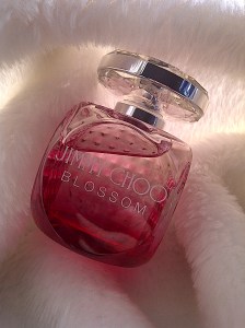 jimmy choo blossom 12
