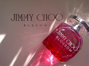 jimmy choo blossom 13