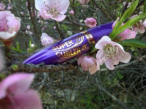 rimmel supercurler mascara 7